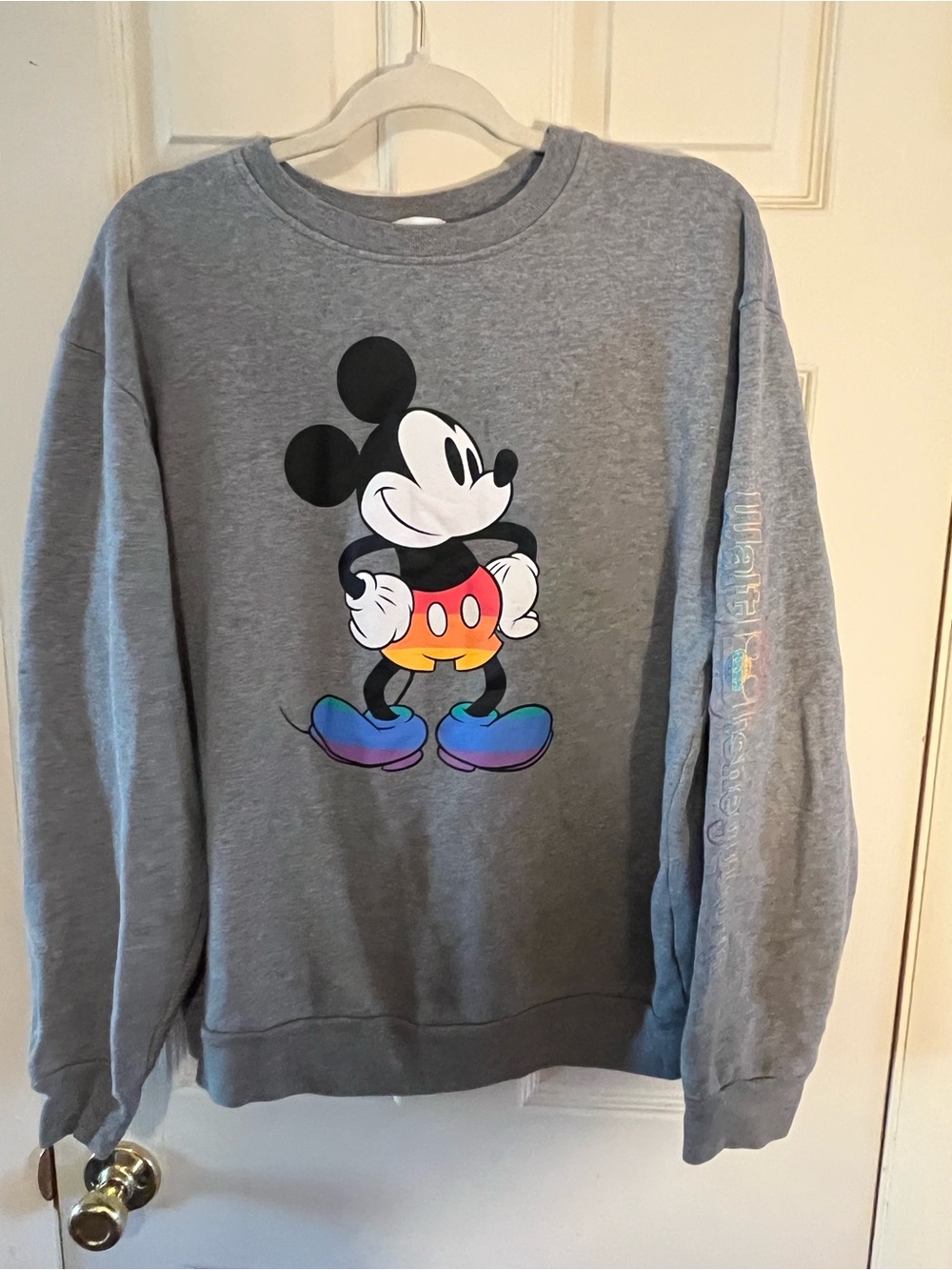 Disneyland Resort Mickey Mouse Crewneck Sweatshirt Gray Rainbow Graphic Adult M